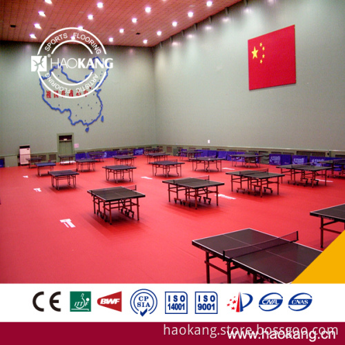 Table Tennis Court